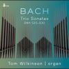 Download track 04. Organ Sonata No. 2 In C Minor, BWV 526 Trio I. Vivace