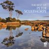 Download track Sculthorpe: String Quartet No. 18-V. Postlude