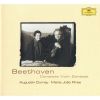 Download track 08 - Beethoven Sonata No. 4 In A Minor Op. 23 - II. Andante Scherzoso Piu Allegretto