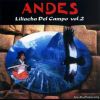 Download track Andes / Qhochapata (Motivo Chintunki)