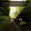Download track Amber (Original Mix)