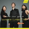 Download track Clarinet Trio In A Minor, Op. 40: IV. Allegro Vivace