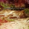 Download track Fantasy Of Sleep