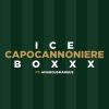 Download track Capocannoniere