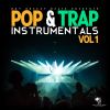 Download track Chop Suey (80 BPM) (Instrumental)