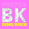 Download track Duck
