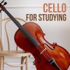 Download track Cello Concerto In B Minor, RV 424 II. Largo