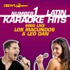 Download track Mary Es Mi Amor (As Made Famous By Leo Dan) [Karaoke Version]