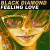 Download track Feeling Love (Radio Edit)