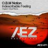 Download track Indescribable Feeling (Oiryal Remix)