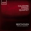 Download track Beethoven: String Quartet No. 15 In A Minor, Op. 132: I. Assai Sostenuto - Allegro