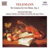 Download track 9. Sonata For 2 Flutes Or 2 Violins No. 4 In E Minor Sonates Sans Basse No. 4 TWV40: 104: I. Largo