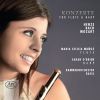 Download track Concerto For Flute And Harp In C Major, K. 299 I. Allegro