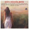 Download track Yolcu Yolunda Gerek