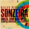 Download track Brasil Pandeiro (Drumagick's Beach Mix)