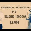 Download track Liar