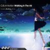 Download track Walking In The Air (Original Mix)