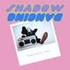 Download track Shadow Dancing (Original Mix)