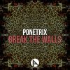 Download track Break The Walls (Original Mix)