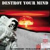Download track DESTROY YOUR MIND - Mickey For President