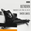 Download track Beethoven- Piano Sonata No. 15 In D Major, Op. 28 - Pastorale -4. Rondo. Allegro Ma Non Troppo