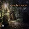 Download track 02. Piano Trio No. 2 In F, Op. 22 - II. Andante Con Variazioni