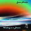 Download track Walking In A Dream