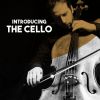 Download track Cello Concerto No. 1 In C Major, Hob. VIIb. 1: I. Moderato
