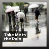 Download track Like Rain