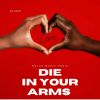 Download track Die In Your Arms