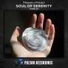 Download track Soul Of Serenity (Original Mix)