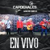 Download track La Novia Del Pajarito (En Vivo)