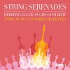 Download track Elgar: Serenade For String Orchestra In E Minor, Op. 20: II. Larghetto