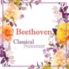 Download track Berlin Philharmonic Wind Ensemble - Beethoven- March For Military Music In D Major, WoO 22