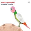 Download track Momento Magico