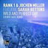 Download track Wild And Perfect Day (Cosmic Gate Remix)