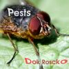 Download track Termites