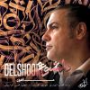 Download track Delshoore