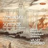 Download track 3. Zemlinsky: Die Seejungfrau - III. Sehr Gedehnt Mit Schmerzvollem Ausdruck
