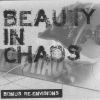 Download track Finding Beauty In Chaos (Broken Ground Mix)