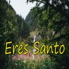 Download track Eres Santo