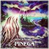 Download track Pinega [Steffen Ki Revision]