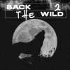 Download track Back 2 The Wild