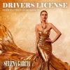 Download track Drivers License (Instrumental Club Mix)
