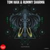 Download track Elephants (Elephants Rummy Sharma Mix)