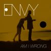 Download track Am I Wrong