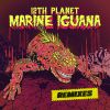 Download track Marine Iguana (Guppi Remix)