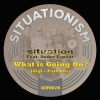 Download track What Is Going On? (Situation Dub)