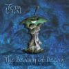 Download track The Beauty Of Decay (The Electronic Advance Remix)