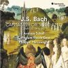 Download track 13 - Geist Und Seele Wird Verwirret, BWV 35- V. Sinfonia